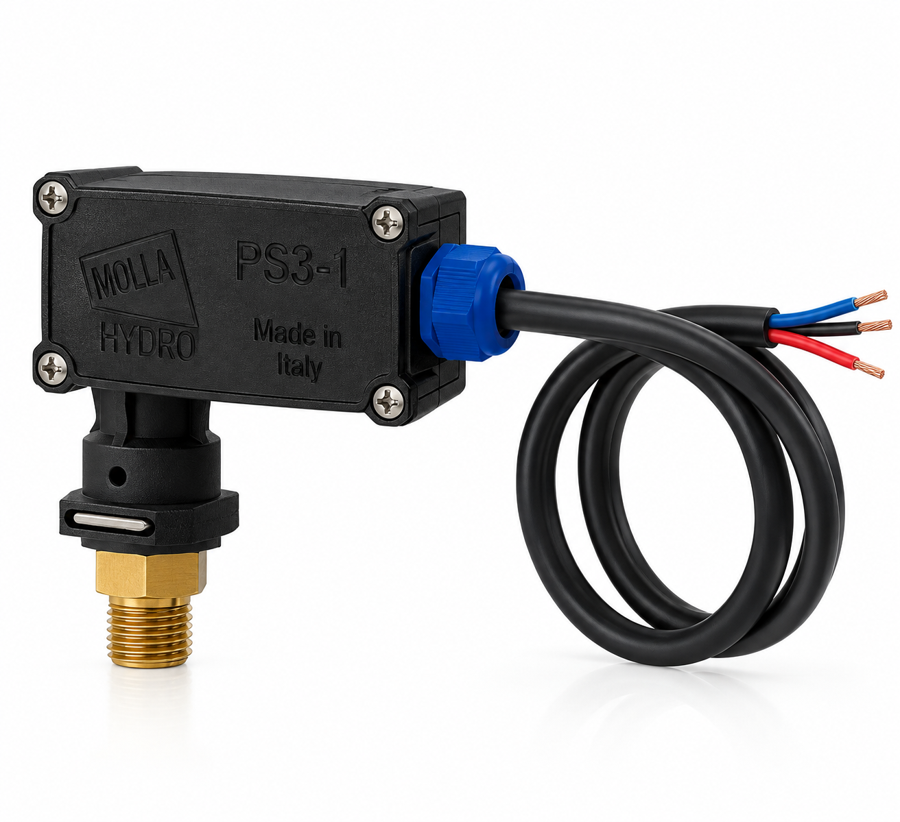 96d39075-23ea-4528-aec7-3d3752b25b95-2 Pressostato PS31 - immagine 1